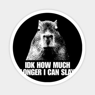 Idk How Much Longer I Can Slay Capybara Sarcastic Dank Meme Shirt Edgy Meme Quote Funny Meme Magnet